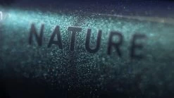 Cube Nature EXC Verde´n´black -Fahrradladen 645210 D 03