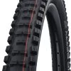 Schwalbe Big Betty Evo Super Gravity 29" Addix Soft E-50 Faltreifen