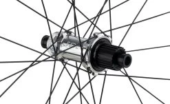 Newmen Evolution SL E.G.30 29" Boost Shimano MicroSpline Laufradsatz 11 Newmen Evolution SL E.G.30 29" Boost Shimano MicroSpline Laufradsatz -Fahrradladen Newmen Evolution SL E G 30 90742 3